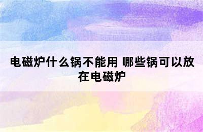 电磁炉什么锅不能用 哪些锅可以放在电磁炉